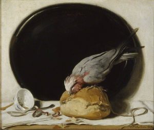 The Rose Crested Cockatoo by William Nicholson