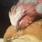 The Rose Crested Cockatoo (detail) by William Nicholson