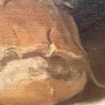 The Rose Crested Cockatoo (detail) by William Nicholson